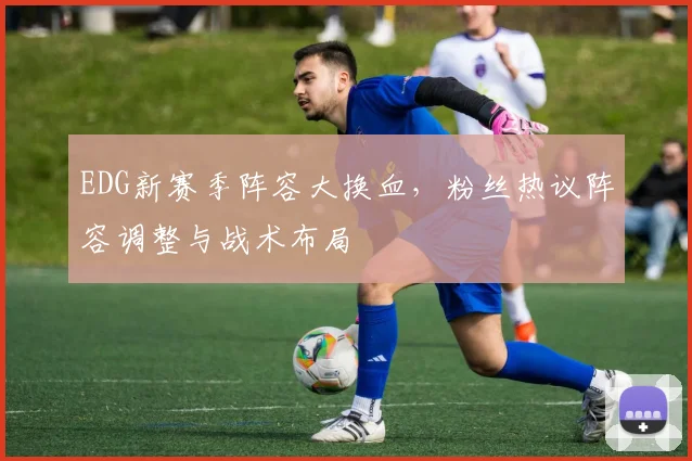 EDG新赛季阵容大换血，粉丝热议阵容调整与战术布局