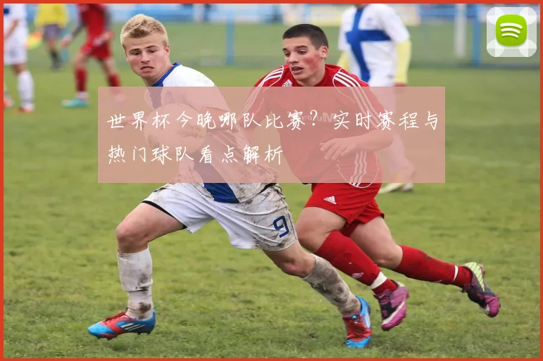 世界杯今晚哪队比赛？实时赛程与热门球队看点解析