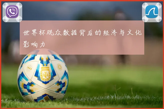世界杯观众数据背后的经济与文化影响力