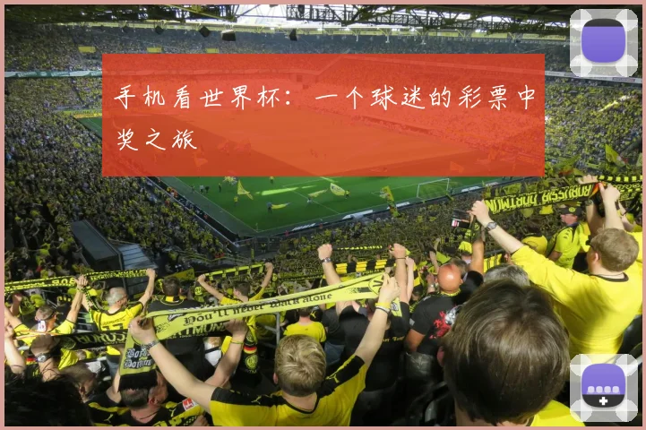 手机看世界杯：一个球迷的彩票中奖之旅