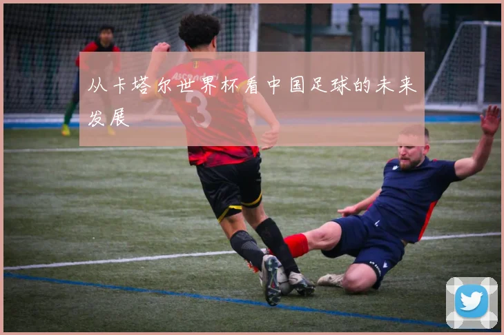从卡塔尔世界杯看中国足球的未来发展