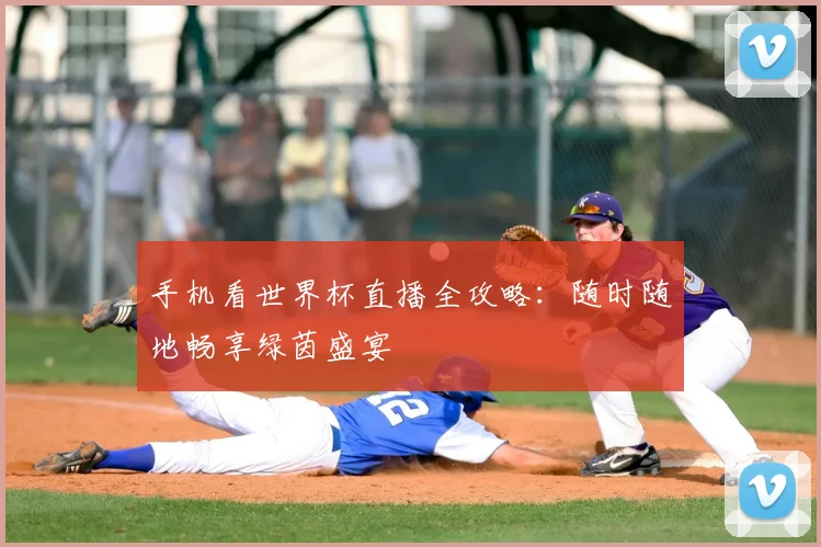 手机看世界杯直播全攻略：随时随地畅享绿茵盛宴