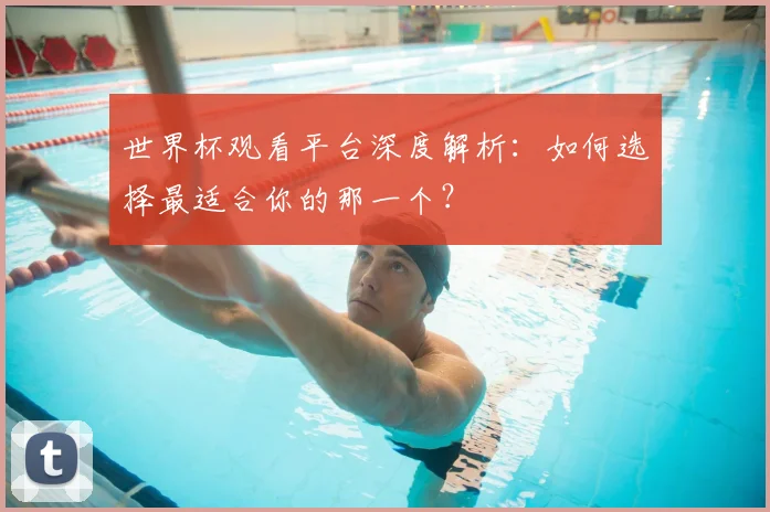 世界杯观看平台深度解析：如何选择最适合你的那一个？