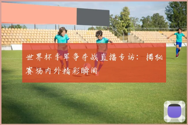 世界杯季军争夺战直播专访:揭秘赛场内外精彩瞬间