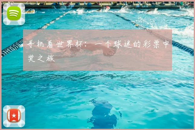 手机看世界杯：一个球迷的彩票中奖之旅