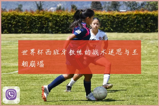 世界杯西班牙教练的战术迷思与王朝崩塌