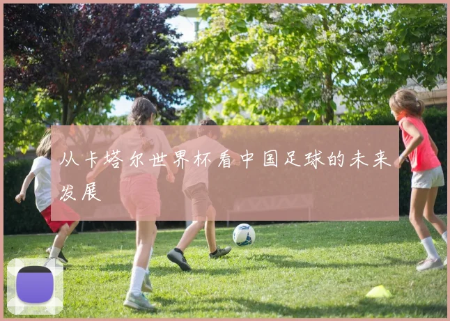 从卡塔尔世界杯看中国足球的未来发展