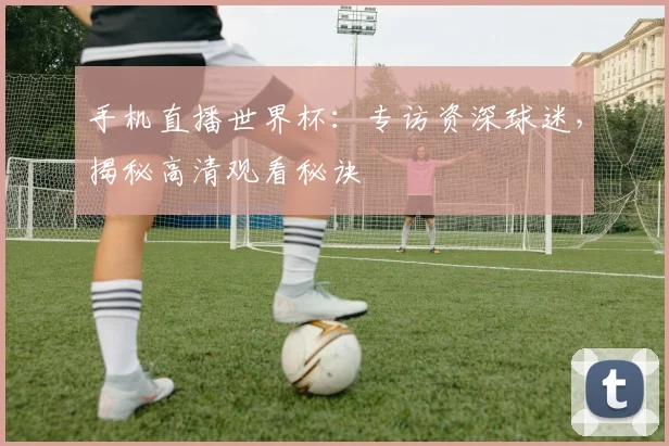 手机直播世界杯：专访资深球迷，揭秘高清观看秘诀