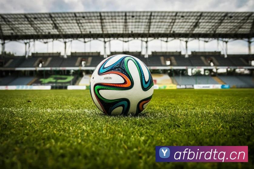 半岛在线网页版登录APP 体育赛事宣传图